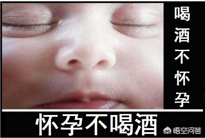 孕妇能到香港验血吗,备孕期能喝酒吗？醉酒一次多久后才可以要孩子？