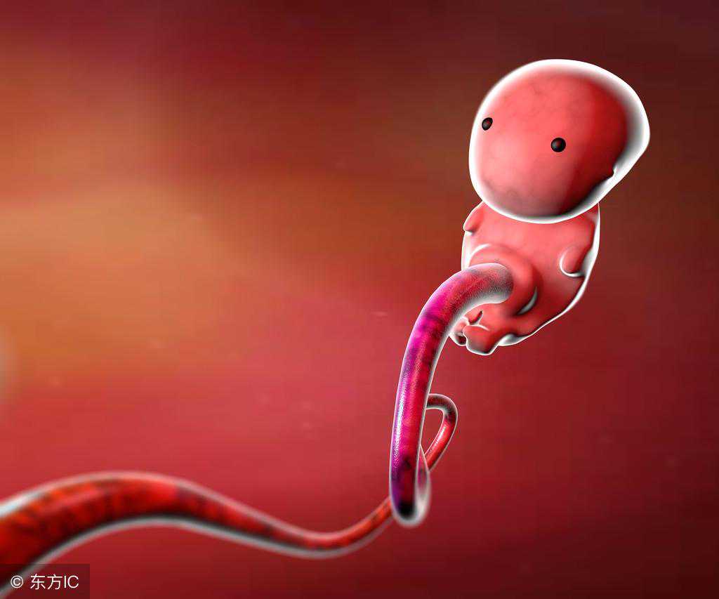 怀孕香港验血报告单图片,宫外孕导致一侧输卵管切除另一侧堵塞，试管成功后