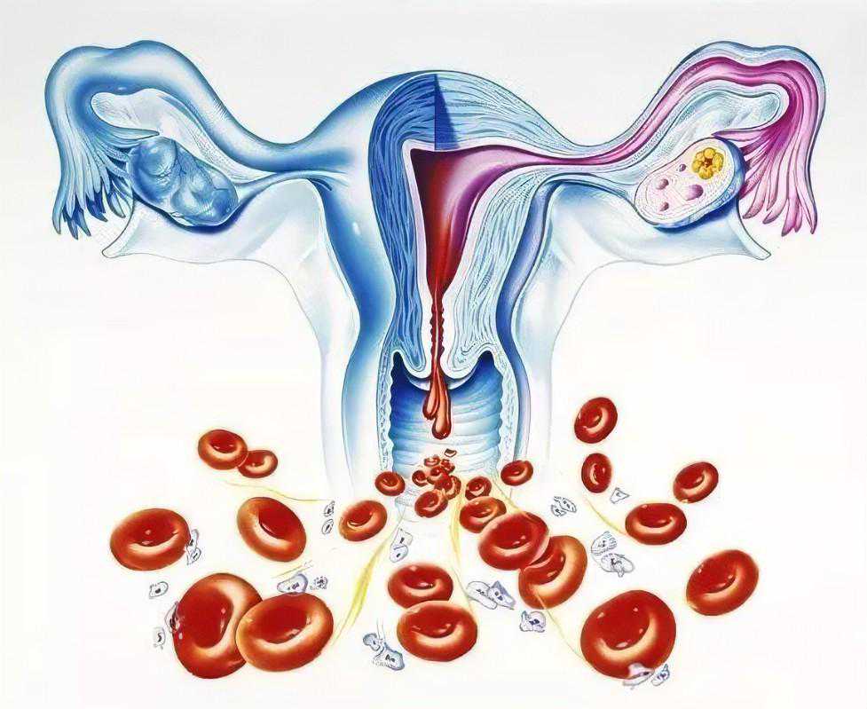 打孕酮影响香港验血吗,经期不稳定排卵期怎么算月经几天后是排卵期